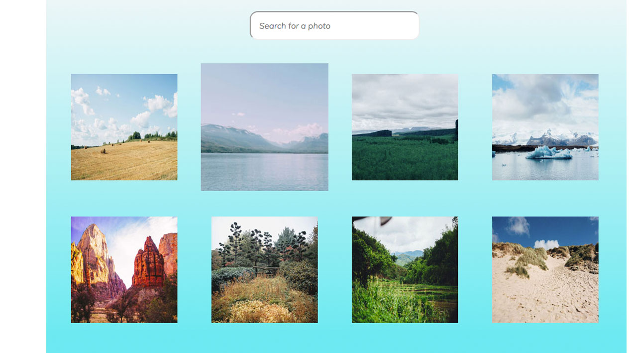 Screenshot of Photo Gallery Project